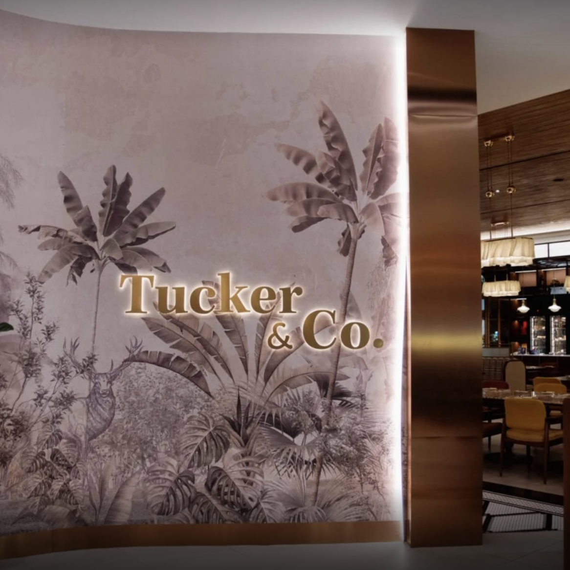 valentine's day dinner